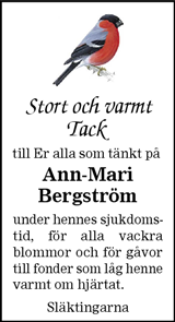 Blekinge Läns Tidning,Sydöstran