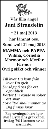 Sundsvalls Tidning,Dagbladet