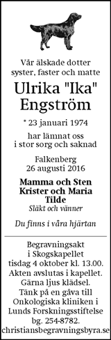 Hallands Nyheter