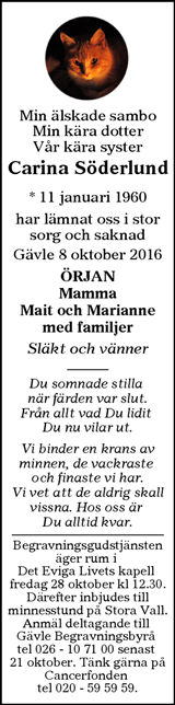 Borlänge Tidning,Falu-Kuriren,Södra Dalarnes Tidning,Nya Ludvika Tidning