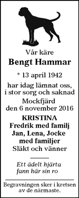 Borlänge Tidning,Falu-Kuriren,Södra Dalarnes Tidning,Nya Ludvika Tidning