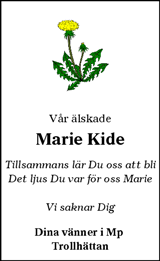 TTELA Trollhättans tidning & Elfsborgs läns allehanda