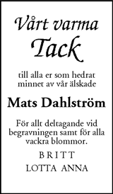 Mitt i Botkyrka-Salem