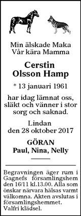 Borlänge Tidning,Falu-Kuriren,Södra Dalarnes Tidning,Nya Ludvika Tidning