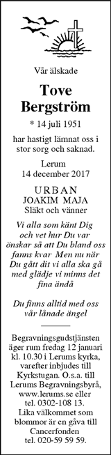 Lerums Tidning (e-tidning)