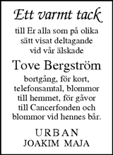 Lerums Tidning (e-tidning)