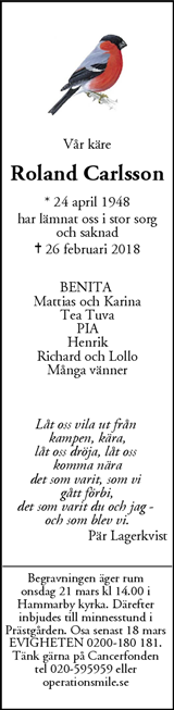 Mitt i Upplands Väsby