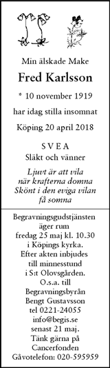 Magazin24