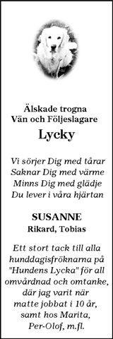 Göteborgs-Posten