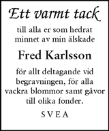 Magazin24