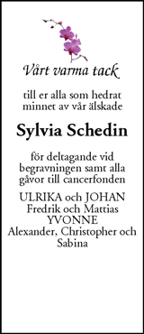 Mitt i Upplands Väsby