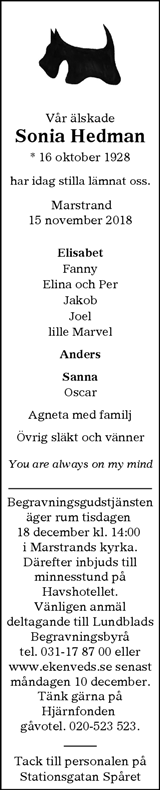 Göteborgs-Posten
