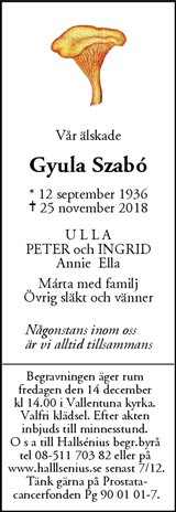 Mitt i Vallentuna