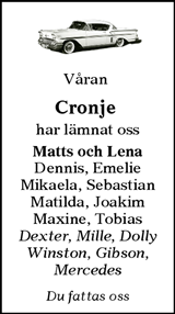 Sundsvalls Tidning