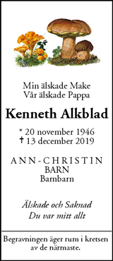 Mitt i Upplands Väsby