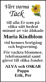 Annonsbladet Dalarna
