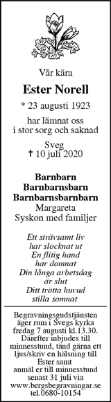 Webbannons