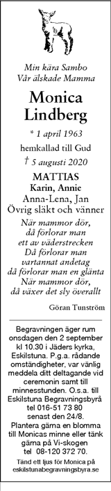 Tidningen 7
