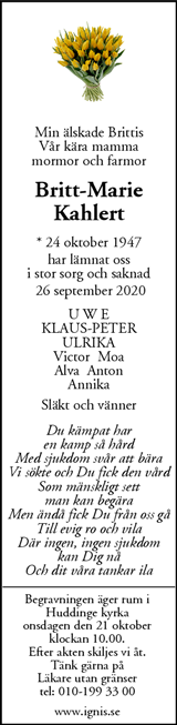 Mitt i Botkyrka-Salem