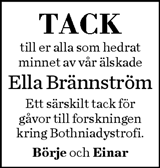 Norran (Norra Västerbotten)