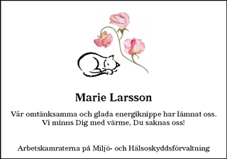 Hallands Nyheter