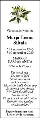 Mitt i Upplands Väsby
