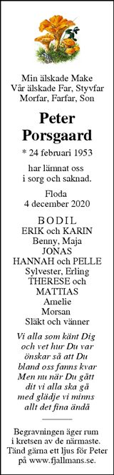 Lerums Tidning (e-tidning)