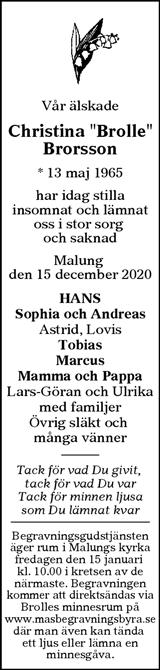 Borlänge Tidning,Falu-Kuriren,Södra Dalarnes Tidning,Nya Ludvika Tidning