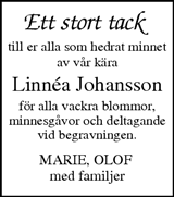 Lerums Tidning (e-tidning)
