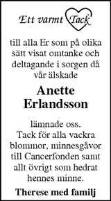 Markbladet