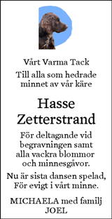 Norrköpings Tidningar