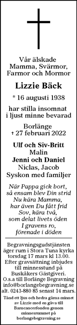 Annonsbladet Dalarna,Lokalt i Dalarna (fd Annonsbladet Dalarna)