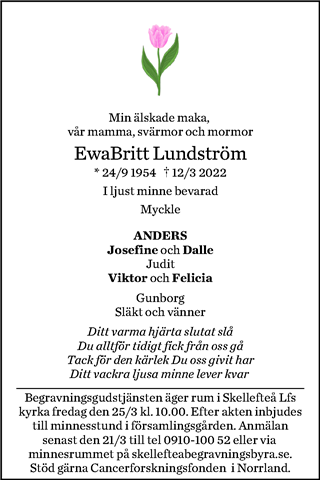 Norran (Norra Västerbotten)