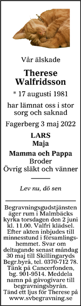 Tranås Tidning,Smålands-Tidningen,Smålands Dagblad,Vetlanda Posten