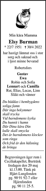 Västerbottens Mellanbygd