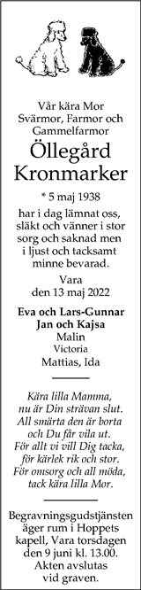 Nya Lidköpings-Tidningen