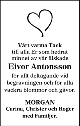 TTELA Trollhättans tidning & Elfsborgs läns allehanda
