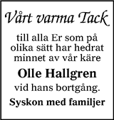 Ljusnan