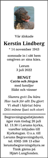 Lerums Tidning (e-tidning)