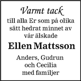 Blekinge Läns Tidning,Sydöstran