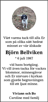 Hallands Nyheter