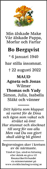 Borlänge Tidning,Falu-Kuriren,Södra Dalarnes Tidning,Nya Ludvika Tidning