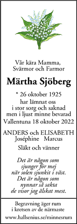 Mitt i Vallentuna