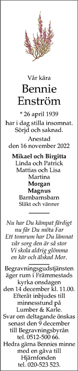 Nya Lidköpings-Tidningen