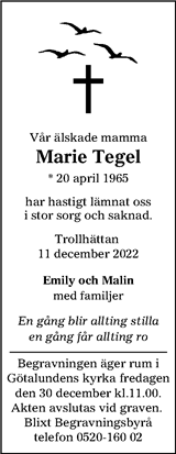 TTELA Trollhättans tidning & Elfsborgs läns allehanda