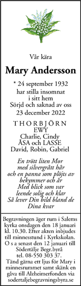 Mitt i Botkyrka-Salem