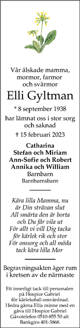 Nya Lidköpings-Tidningen