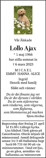 Dagens Nyheter
