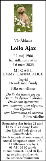Mitt i Lidingö