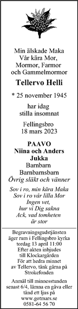 Magazin24